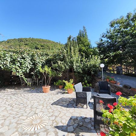 Villa Il Vigneto Tramonti Exterior foto