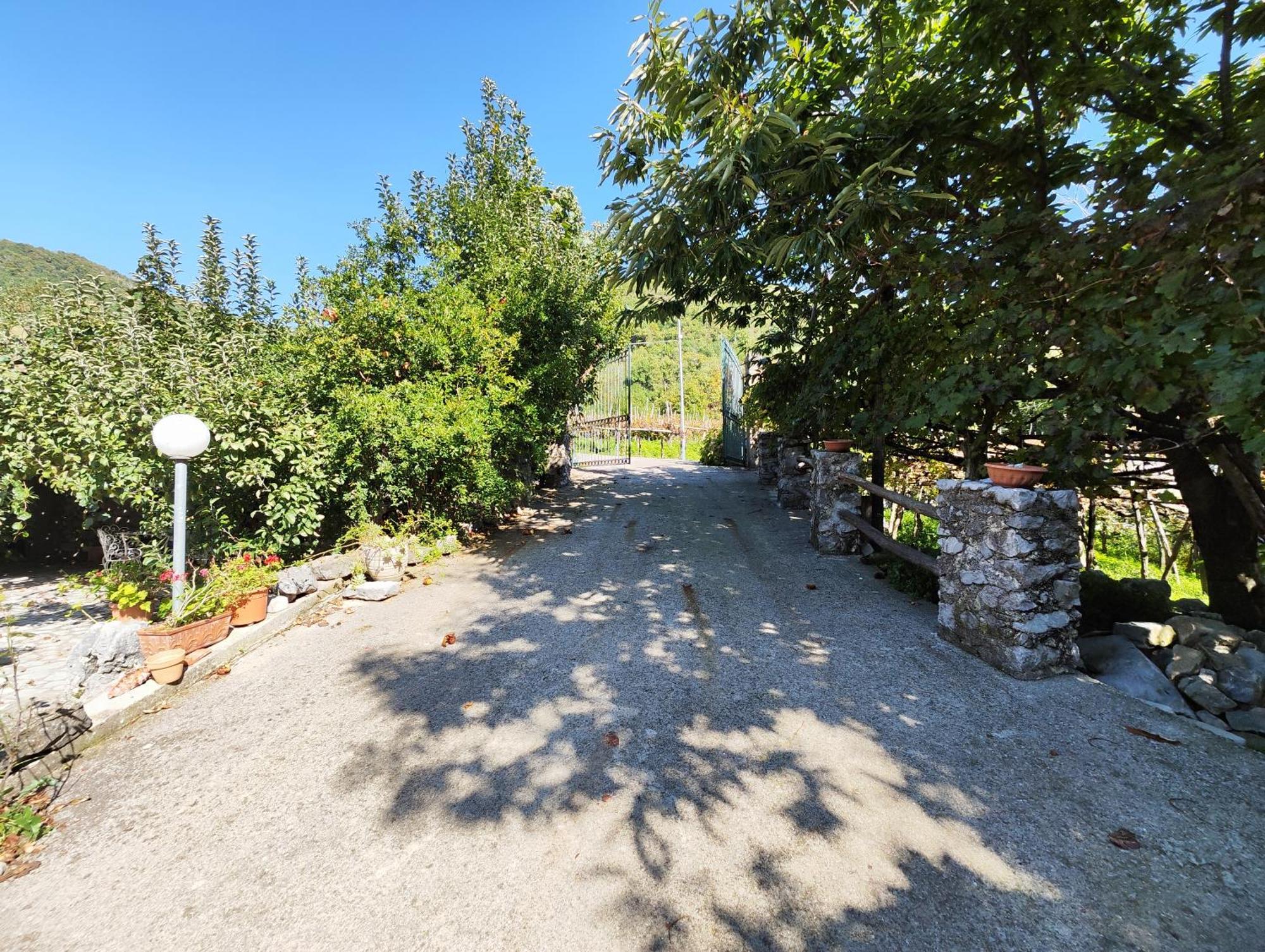 Villa Il Vigneto Tramonti Exterior foto